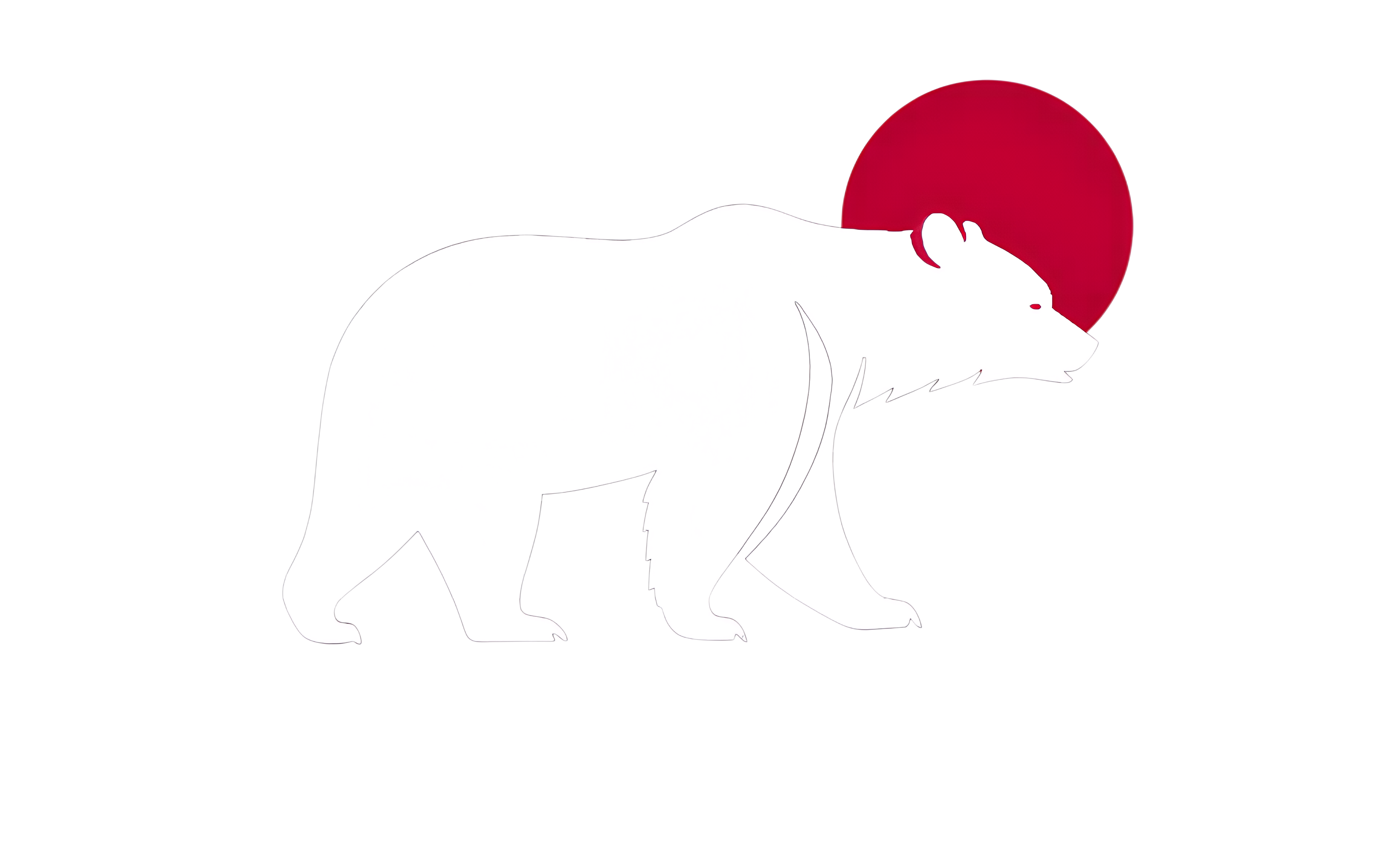 Bear Systems